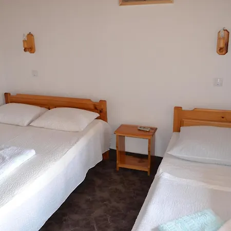 Gasthuis Pensiunea Muntean 3*