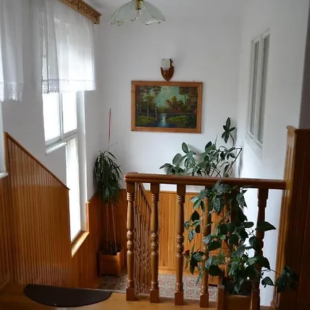 Pensiunea Muntean 3* Sibiel