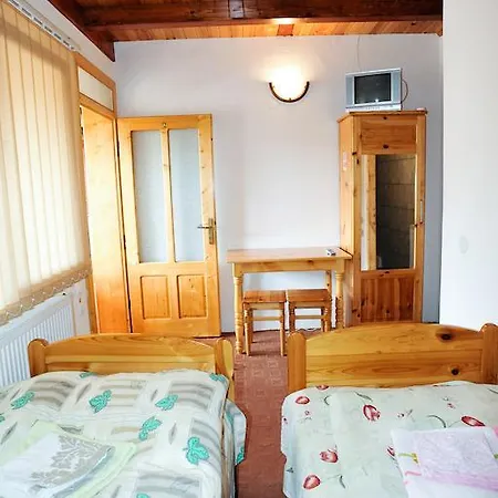 Gasthuis Pensiunea Muntean 3*