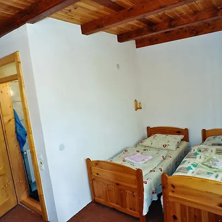 Gasthuis Pensiunea Muntean 3*
